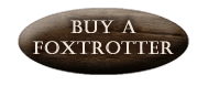 Horse for sale - Buy a Missori Foxtrotter